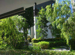Thomson Three (D20), Apartment #558580241